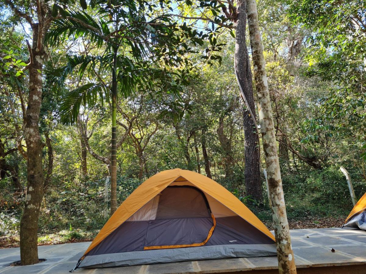Sirsi Captain'S Camp מראה חיצוני תמונה